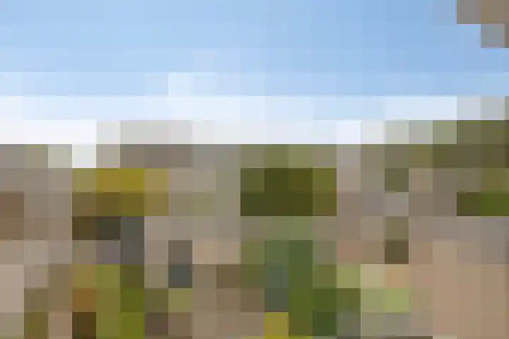 Grebbeberglaan 57 Eindhoven thumbnail 25