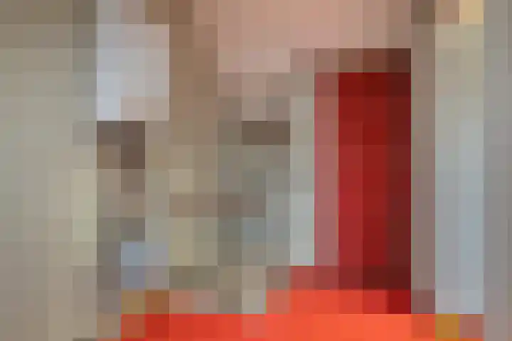 Grebbeberglaan 57 Eindhoven thumbnail 29