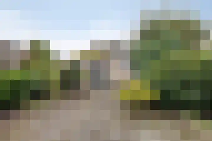 Grebbeberglaan 57 Eindhoven thumbnail 33