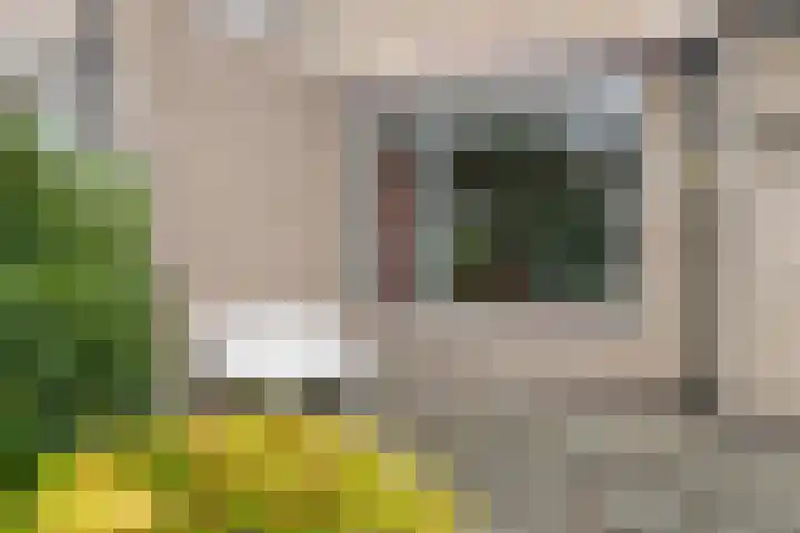 Grebbeberglaan 57 Eindhoven thumbnail 34