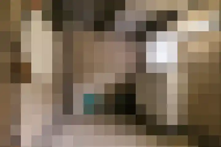 Grebbeberglaan 57 Eindhoven thumbnail 37