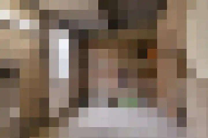 Grebbeberglaan 57 Eindhoven thumbnail 38