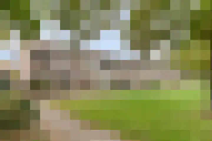 Grebbeberglaan 57 Eindhoven thumbnail 41