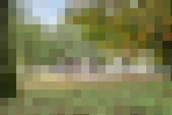 Grebbeberglaan 57 Eindhoven thumbnail 42