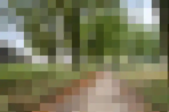 Grebbeberglaan 57 Eindhoven thumbnail 43