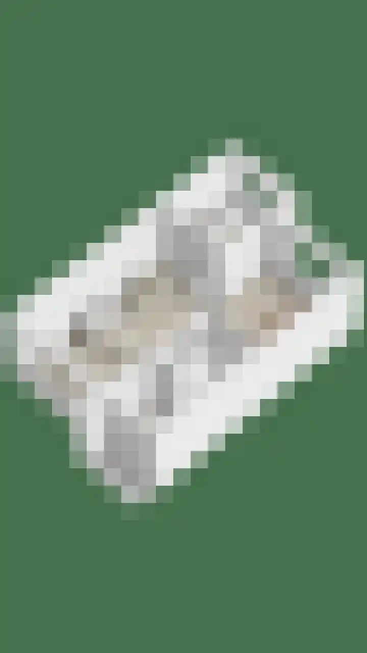 Grebbeberglaan 57 Eindhoven thumbnail 44