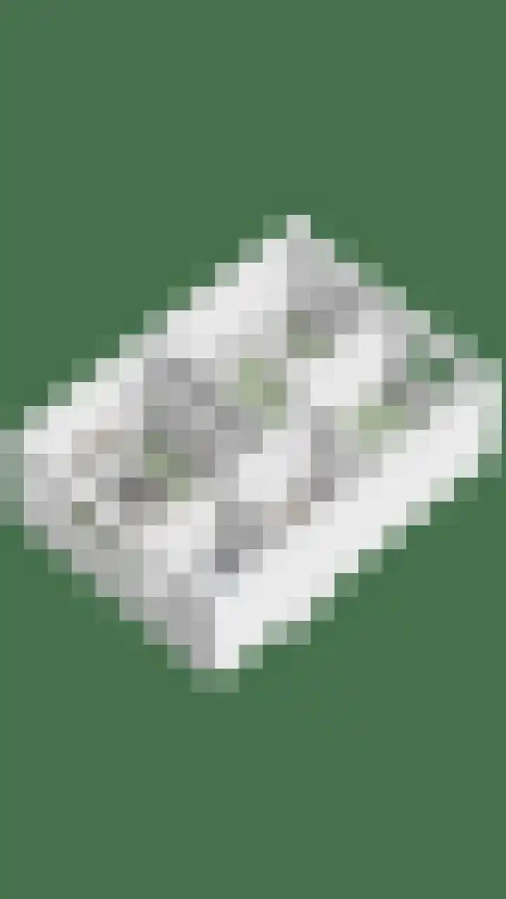 Grebbeberglaan 57 Eindhoven thumbnail 47