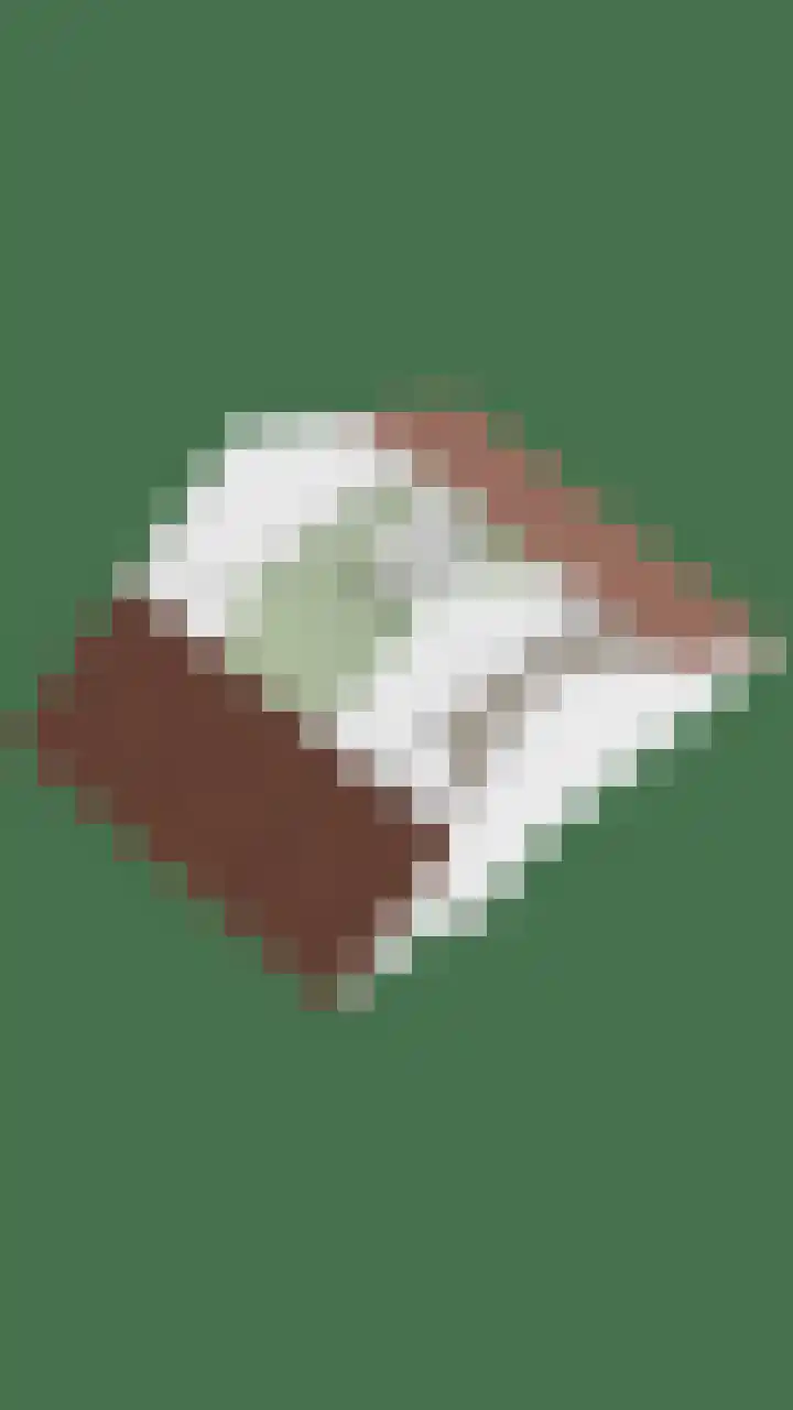 Grebbeberglaan 57 Eindhoven thumbnail 48