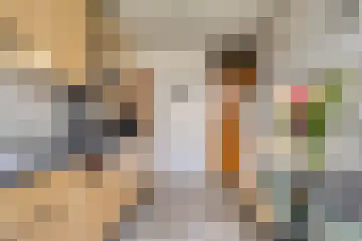 Grebbeberglaan 58 Eindhoven thumbnail 12