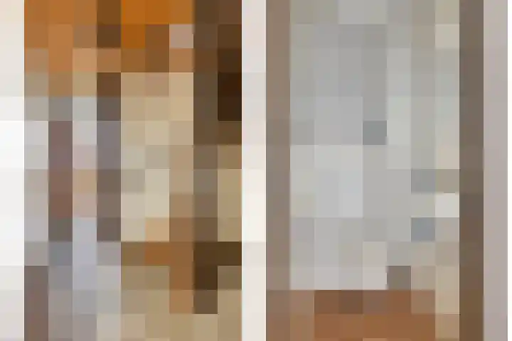 Grebbeberglaan 58 Eindhoven thumbnail 15