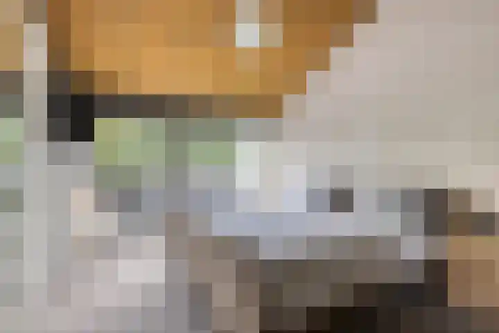Grebbeberglaan 58 Eindhoven thumbnail 16