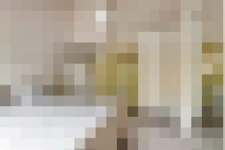 Grebbeberglaan 58 Eindhoven thumbnail 18