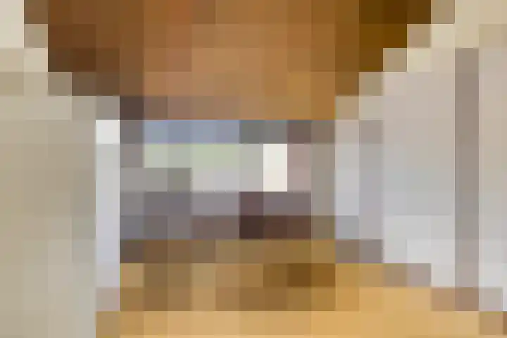 Grebbeberglaan 58 Eindhoven thumbnail 19