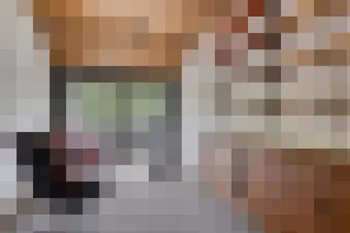 Grebbeberglaan 58 Eindhoven thumbnail 21