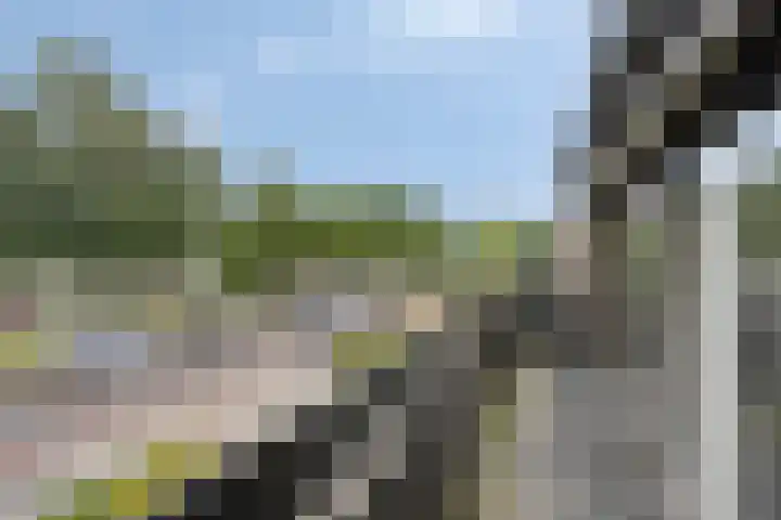Grebbeberglaan 58 Eindhoven thumbnail 26