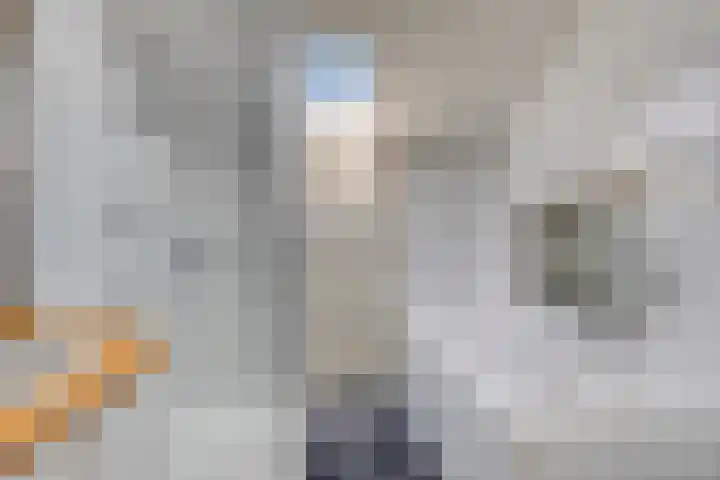 Grebbeberglaan 58 Eindhoven thumbnail 27