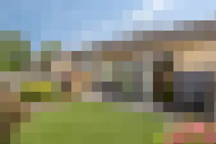 Grebbeberglaan 58 Eindhoven thumbnail 29