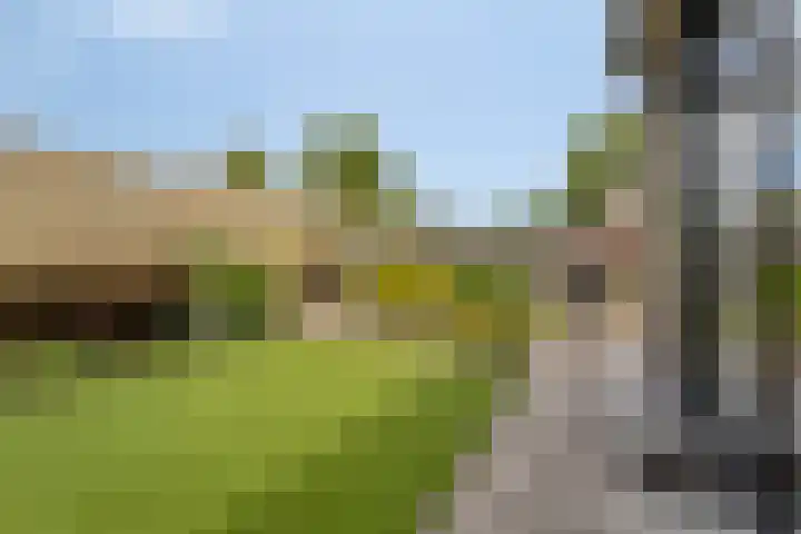 Grebbeberglaan 58 Eindhoven thumbnail 30