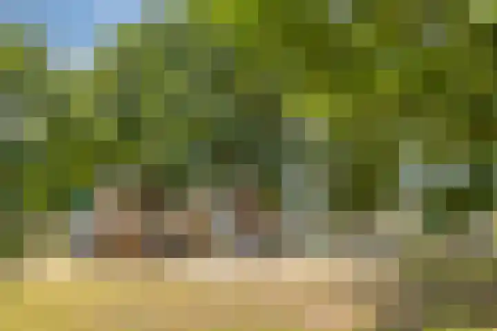 Grebbeberglaan 58 Eindhoven thumbnail 33