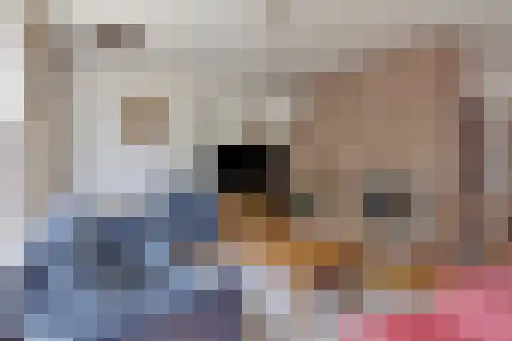 Grebbeberglaan 58 Eindhoven thumbnail 4