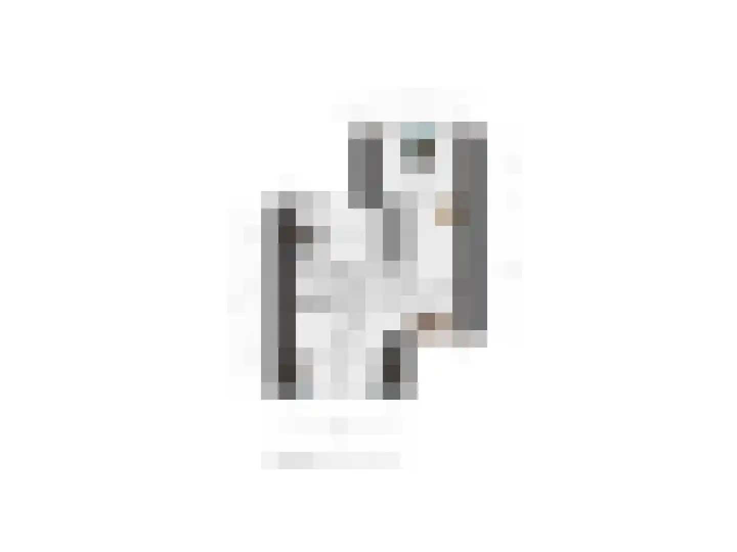 Grebbebergstraat 15 Rijssen thumbnail 31