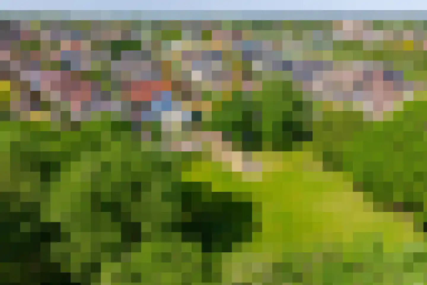 Grebbebergstraat 15 Rijssen thumbnail 8