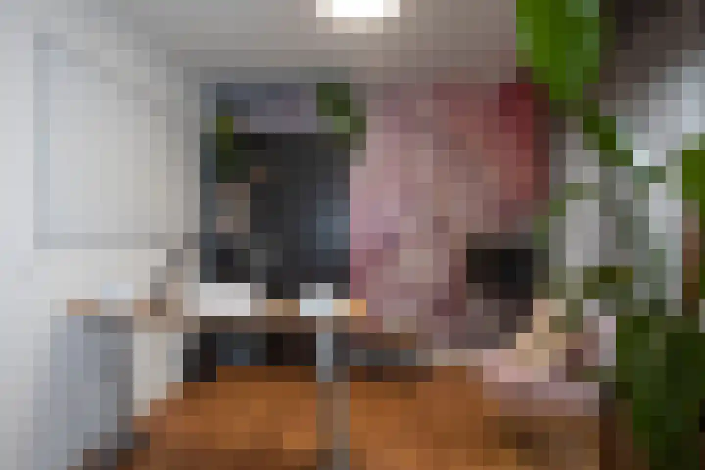 Grebbebergstraat 22 Rijssen thumbnail 12