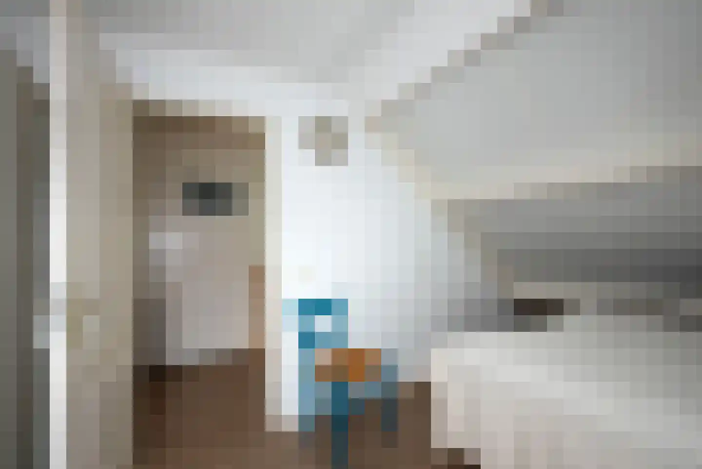 Grebbebergstraat 22 Rijssen thumbnail 30
