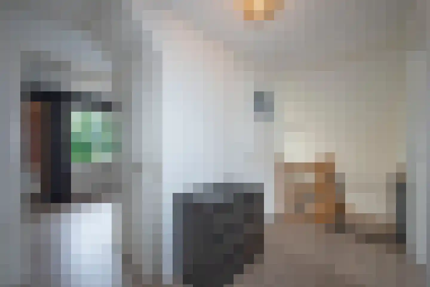 Grebbebergstraat 22 Rijssen thumbnail 31