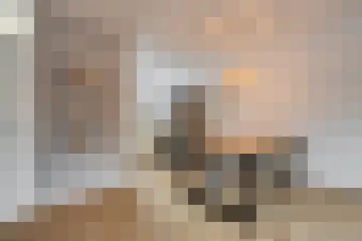 Grebbebos 1 Hoofddorp thumbnail 15