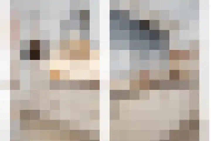 Grebbebos 1 Hoofddorp thumbnail 17