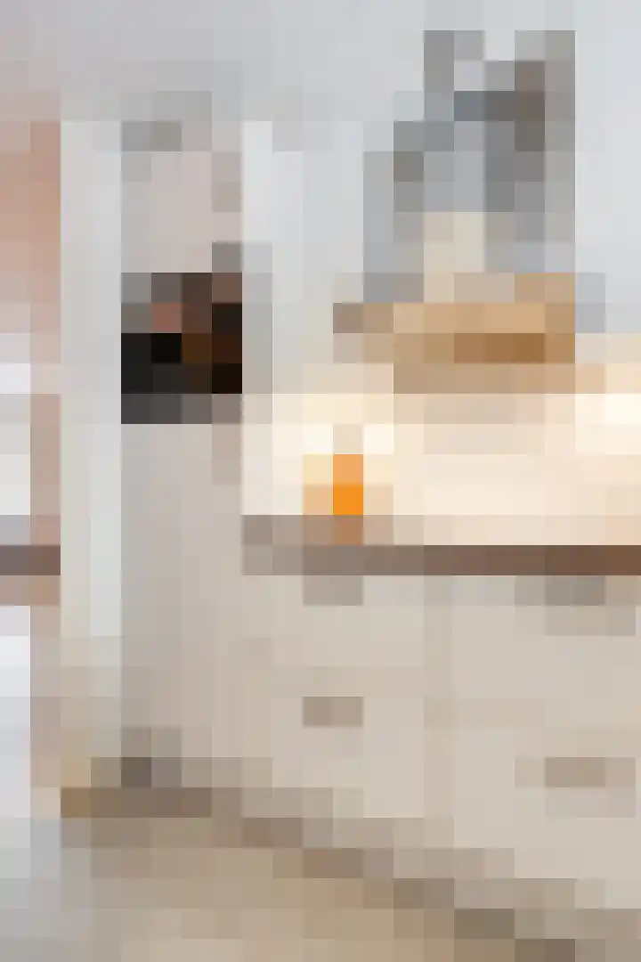 Grebbebos 1 Hoofddorp thumbnail 18