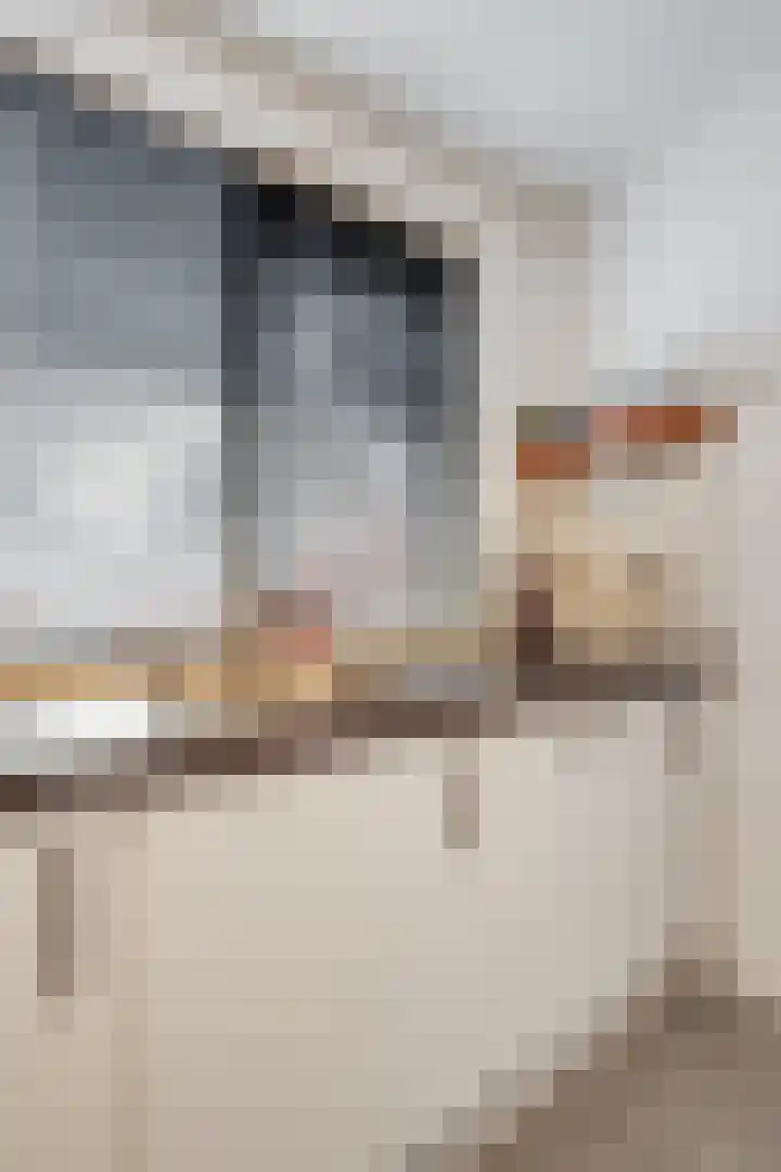 Grebbebos 1 Hoofddorp thumbnail 19