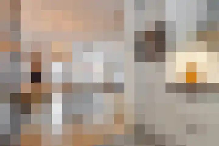 Grebbebos 1 Hoofddorp thumbnail 20