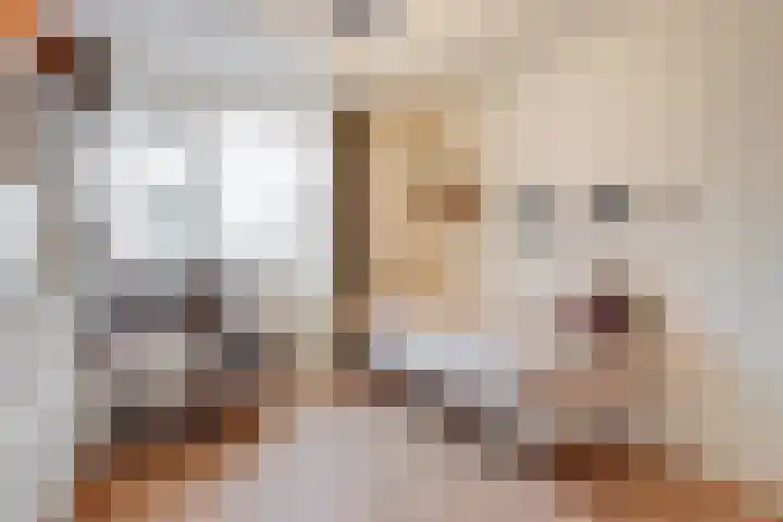 Grebbebos 1 Hoofddorp thumbnail 23