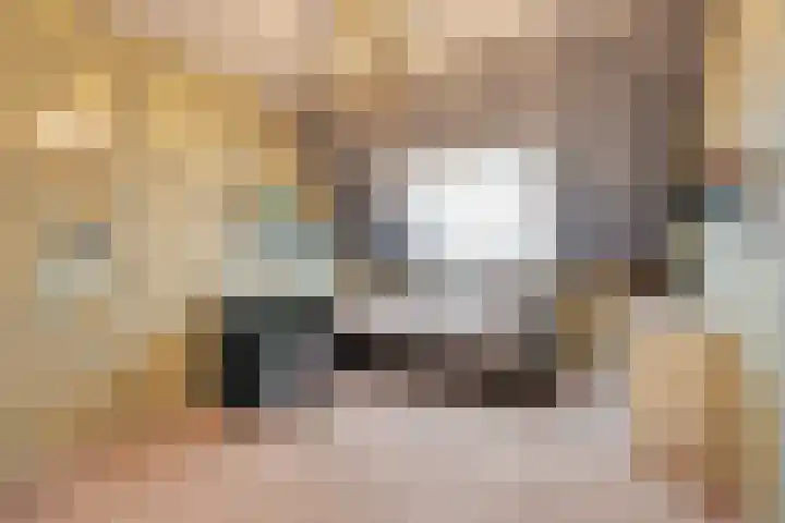 Grebbebos 1 Hoofddorp thumbnail 25