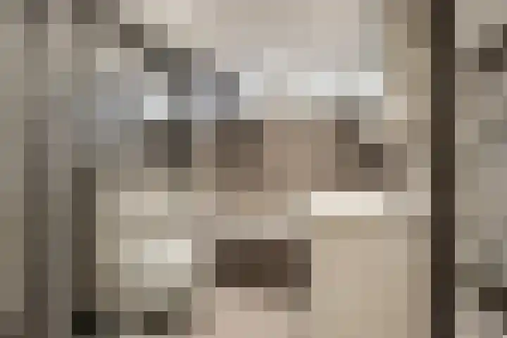Grebbebos 1 Hoofddorp thumbnail 27