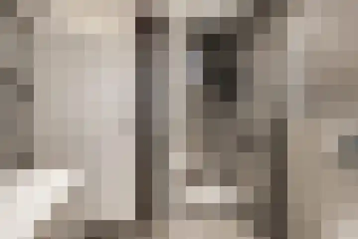 Grebbebos 1 Hoofddorp thumbnail 28