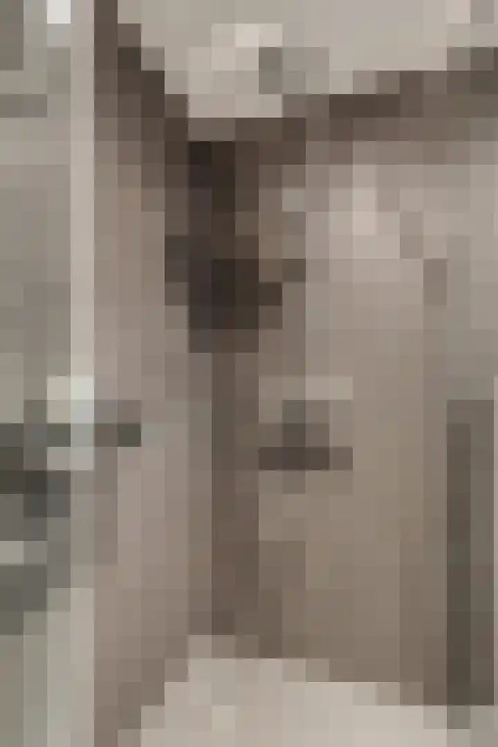 Grebbebos 1 Hoofddorp thumbnail 30