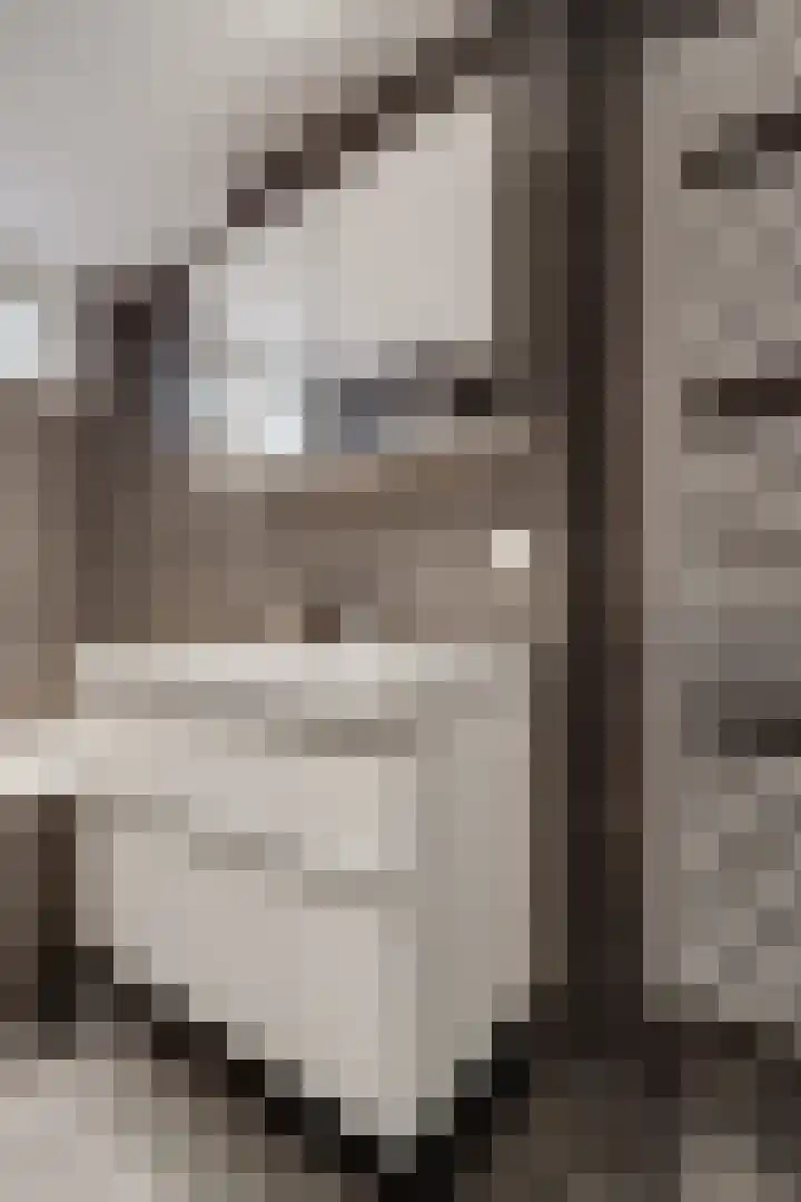 Grebbebos 1 Hoofddorp thumbnail 31