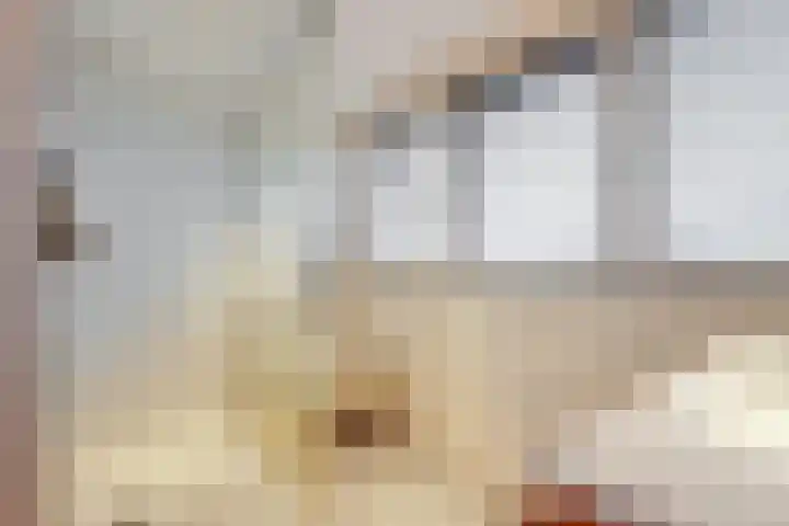Grebbebos 1 Hoofddorp thumbnail 36