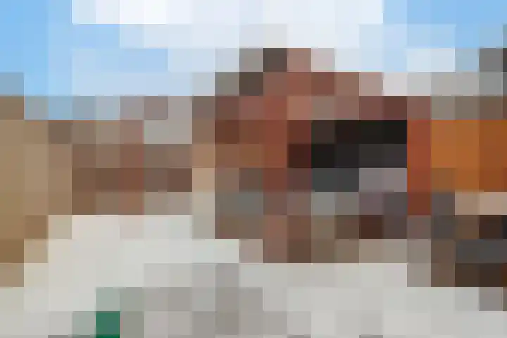 Grebbebos 1 Hoofddorp thumbnail 39