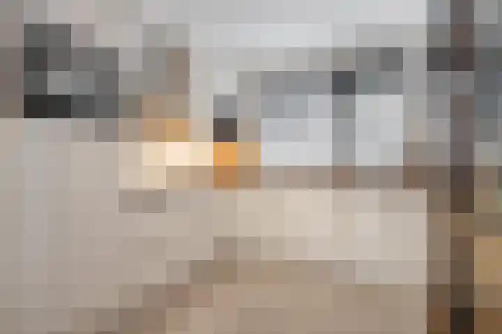 Grebbebos 1 Hoofddorp thumbnail 4
