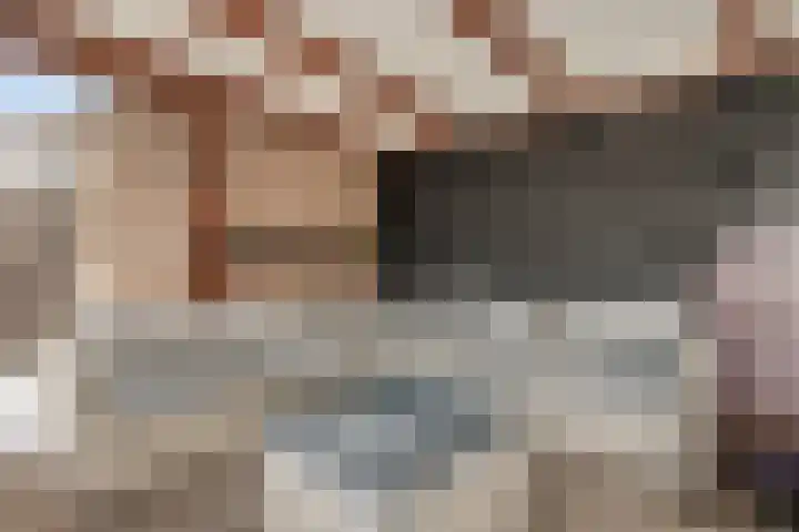 Grebbebos 1 Hoofddorp thumbnail 41