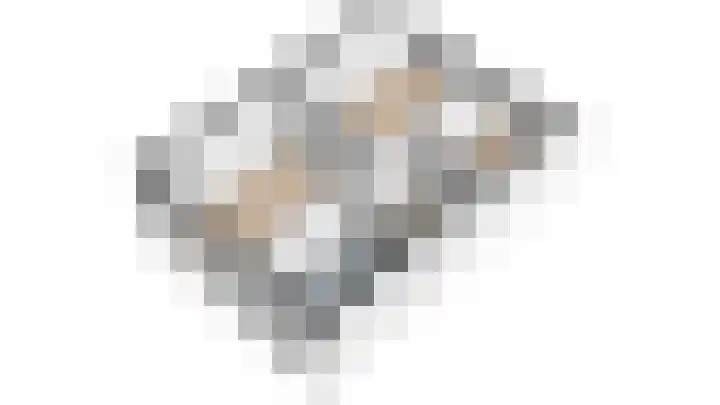 Grebbebos 1 Hoofddorp thumbnail 42