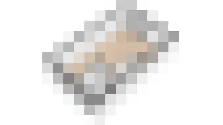 Grebbebos 1 Hoofddorp thumbnail 46