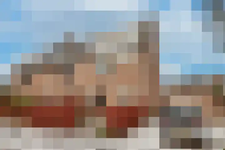 Grebbebos 1 Hoofddorp thumbnail 6