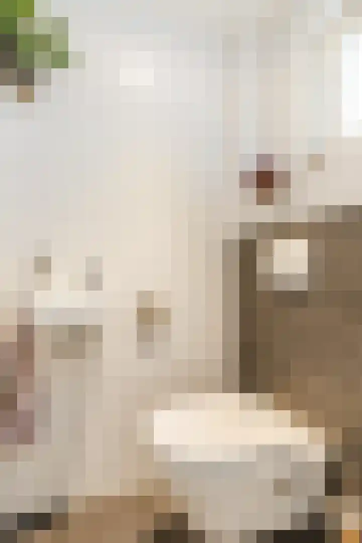 Grebbelaan 9 Scherpenzeel thumbnail 10