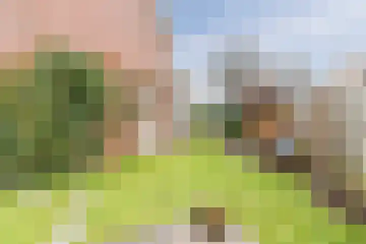 Grebbelaan 9 Scherpenzeel thumbnail 27