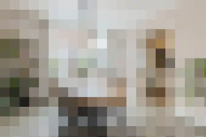 Grebbelaan 9 Scherpenzeel thumbnail 7